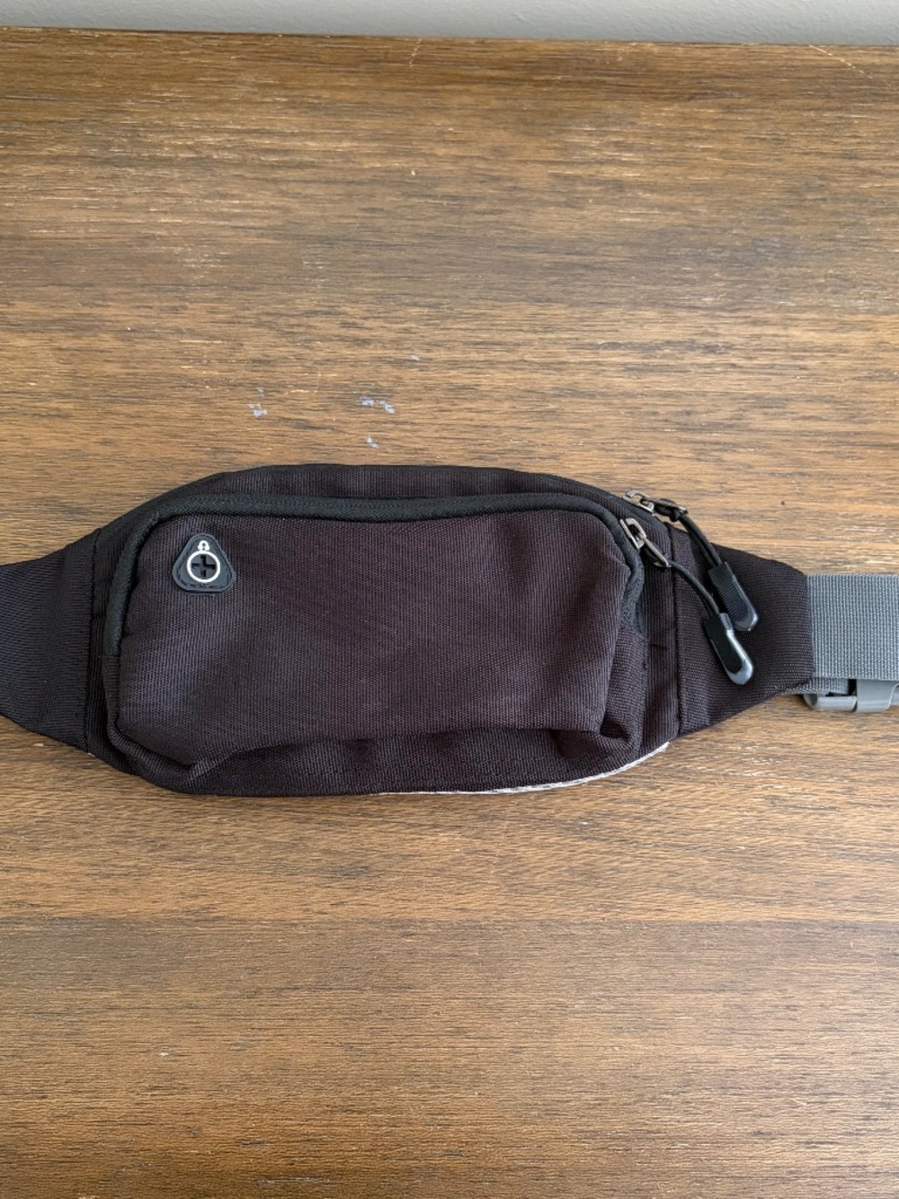 Travel Fanny Pack in VGUC